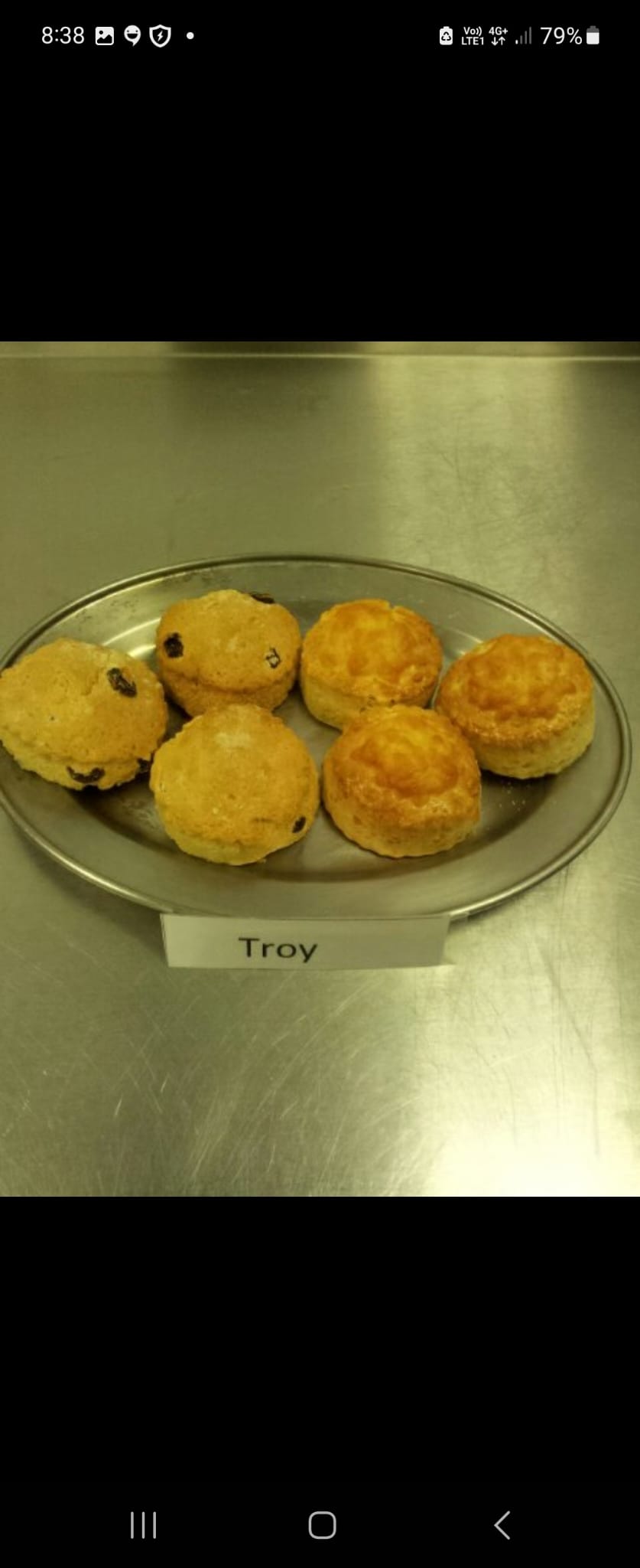 Sweet and Savory Scones Image